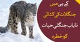 Wild animals are in danger in KPK