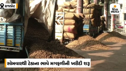 રાજકોટમાં સોમવારથી ટેકાના ભાવે મગફળીની ખરીદી શરૂ