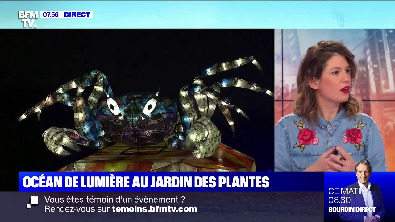 Pour Noël, le Jardin des Plantes s'est transformé en océan de lumière