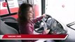 Kadınlar otobüs şoförü olmak için sınava girdi