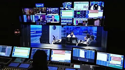 Tiny forest : des mini forêts permettant à la biodiversité d’exploser sans beaucoup de place