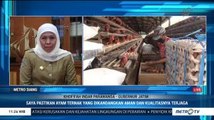 Gubernur Khofifah: Telur Ayam di Jatim Tak Beracun