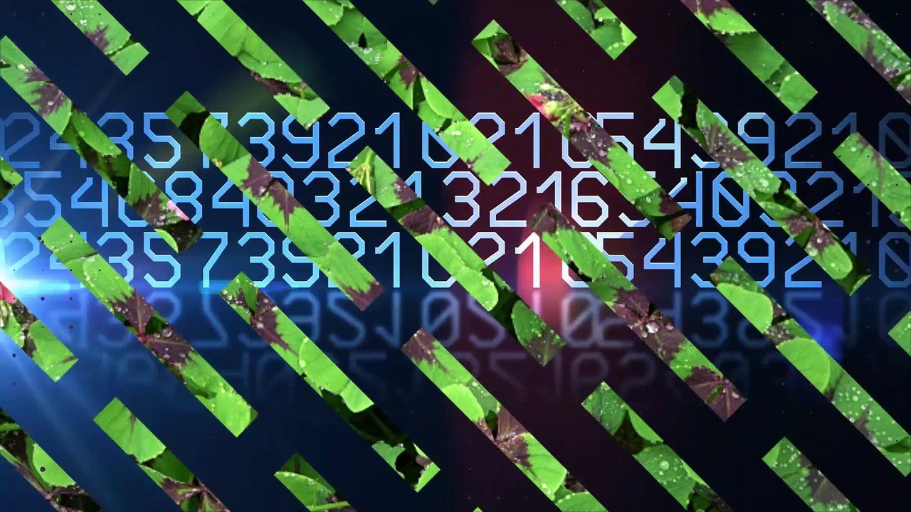 Dein Glücksbringer laut deinem Sternzeichen