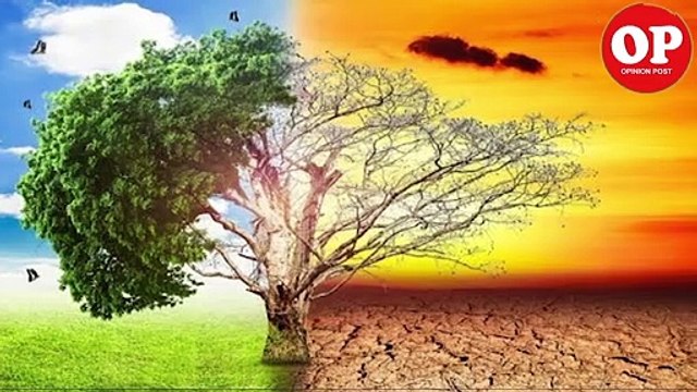 Scientist Warning - Arctic sea ice is melting faster