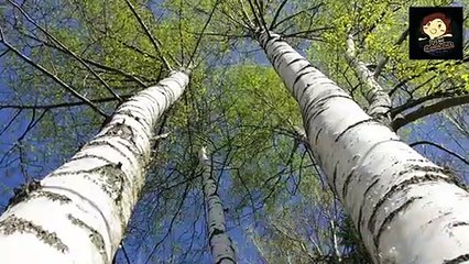 【十大 】10個 實際存在的瘋狂過敏, Top 10 Insane Allergies That Actually Exist － 三爺奶奶頻道