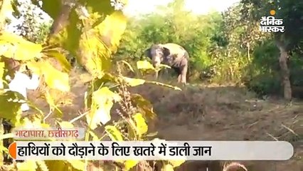 हाथियों को दौड़ाने के लिए खतरे में डाली जान