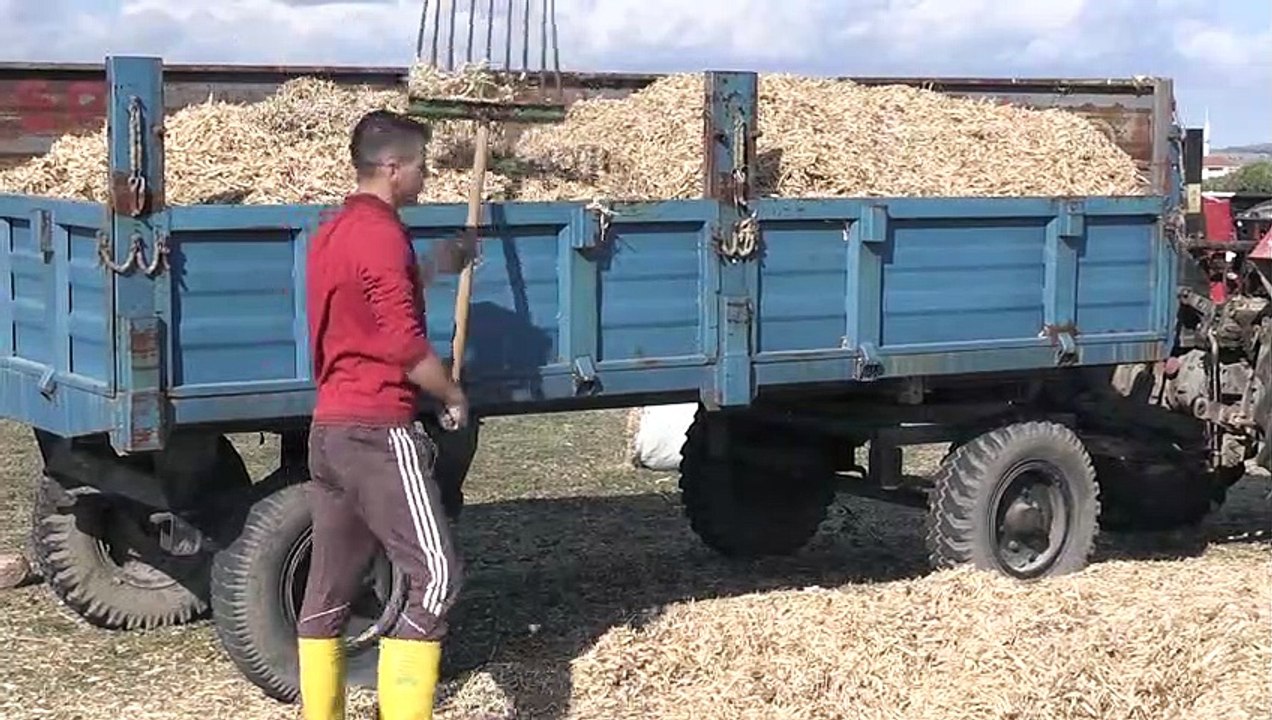 Don Kazaklarının miras bıraktığı fasulye bir mahalleyi besliyor - BALIKESİR