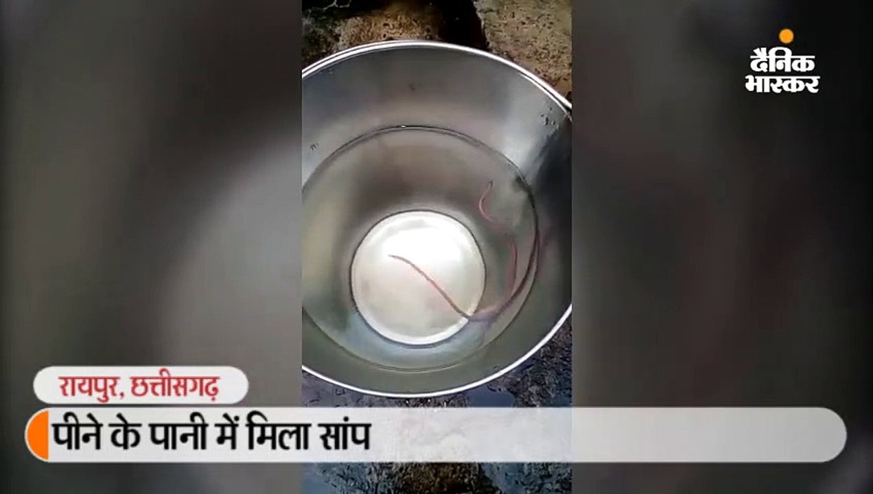 पीने के पानी में मिला सांप