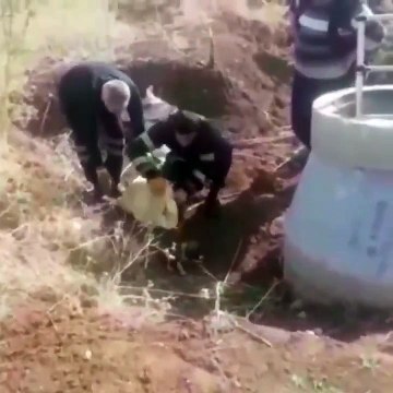 Hayvan SOS: 5 yavru köpek çuvala konarak kuyuya atılmışlardı; kurtarılan yavrulardan birinin öldüğü anlaşıldı