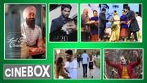 #CineBox : Sarileru Nekevvaru Teaser Update | Aamir Khan's Lal Singh Chadha First look