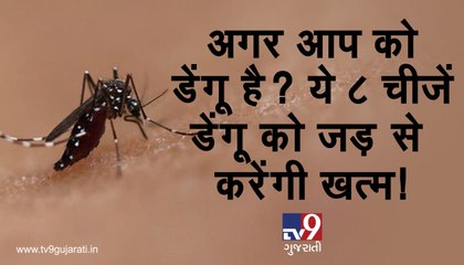 જો તમને ડેન્ગ્યુ છે? આ 8 વસ્તુઓ ડેન્ગ્યુને મૂળમાંથી કરશે દૂર! જુઓ VIDEO
