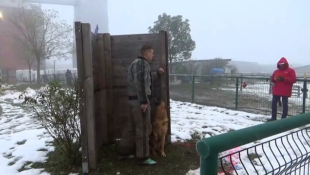 G-RICO de la Horde Valnégrienne 2e sélectif Ring 2019