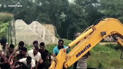 Army personnel rescue baby elephant from water tank in northeastern India