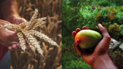 La France, pays à l'honneur du SARA 2019 en Côte d'Ivoire