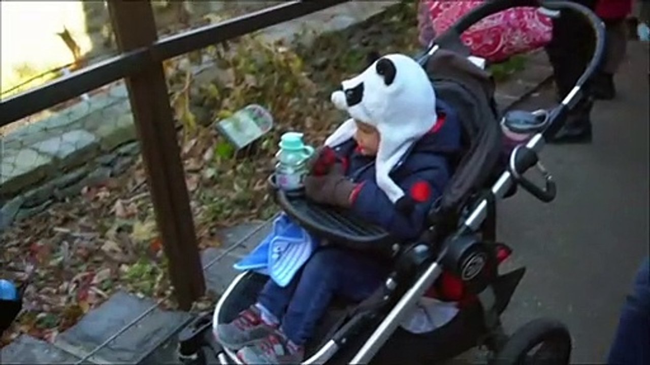 Bye-bye, Bei Bei!