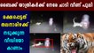 Leopard viral video: leopard jumping towards bike travellers  | Oneindia Malayalam