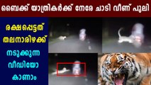 Leopard viral video: leopard jumping towards bike travellers  | Oneindia Malayalam