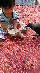 Baby feeding crow