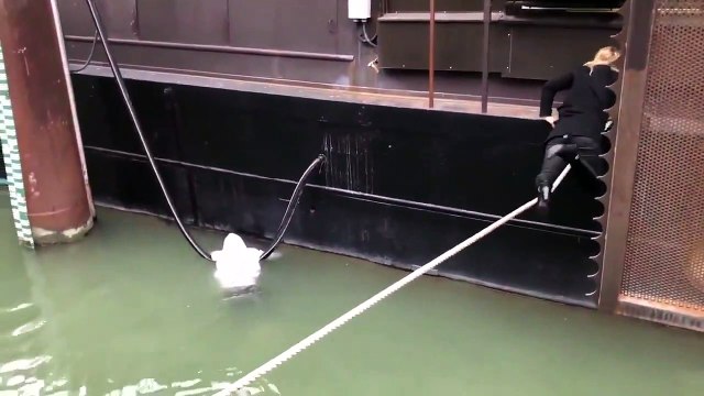 Quand Myriam Fogel sauve un jeune garçon dans le Rhône