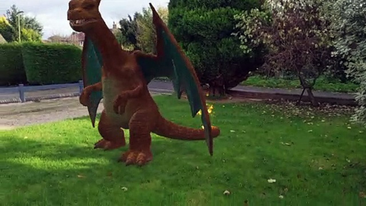 Dragon in Garden