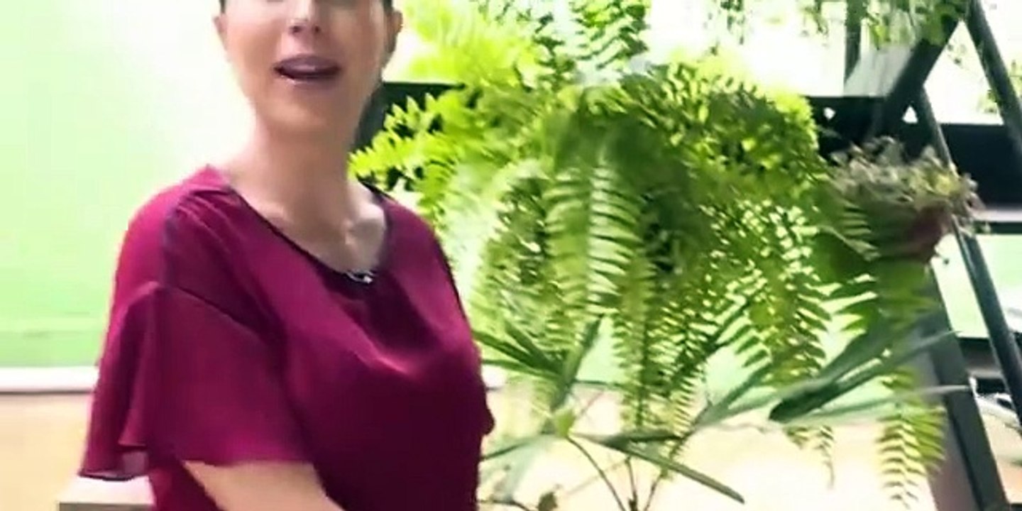 Fiesta de la Jaboticaba