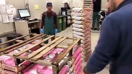 Salvini a Minerbio (BO) vistita Valentina Funghi (18.11.19)