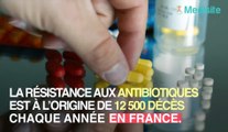 Antibiorésistance : 1 199 tonnes d’antibiotiques vendus en France en 2018