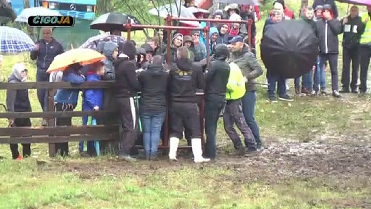 KUKAN PERAN SESTANOVAC 2019