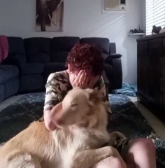 Chien anti-dépression, aide sa maitresse en crise de larmes