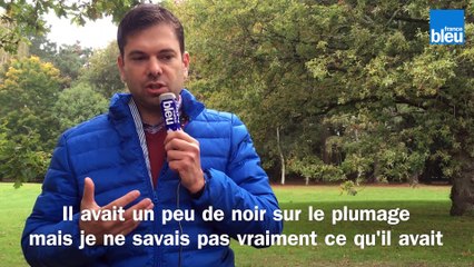 Marée noire après le naufrage de l'Erika : Alexandre se souvient de la découverte des oiseaux morts