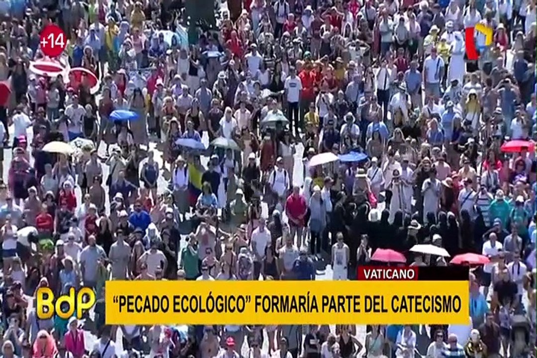 Papa Francisco: Iglesia introduciría ‘pecado ecológico’ al catecismo