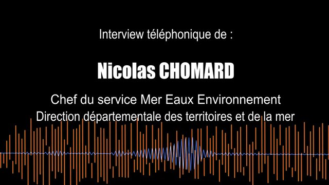 Oursins : contrôles en cascade