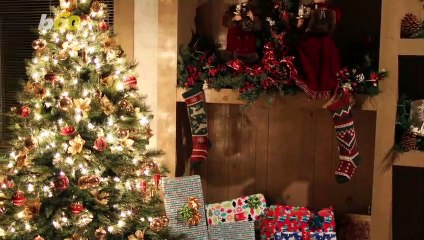 Real or Faux: Which Christmas Tree Is Better for the Environment?