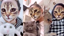 Gatos reagem de forma surreal ao filtro do gato
