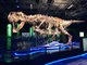 MEET VICTORIA! The world's largest traveling t rex is here in Arizona - ABC15 Digital