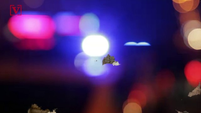 Police Uncover Criminal Gang That Ransacked Archaeological Sites and Sold Stolen Artifacts