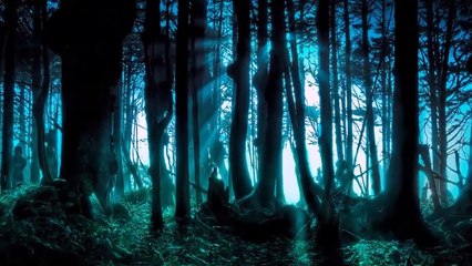 intro de hace dos mesES con el camtasia studio