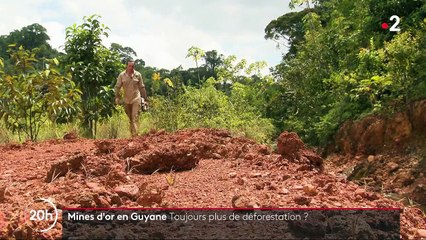 Déforestation: les chercheurs d'or guyanais dans le viseur des militants écologistes