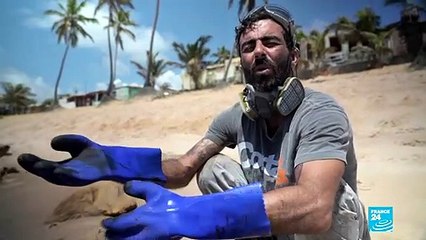 Marée noire au Brésil : les habitants pallient le manque d'engagement de l'État