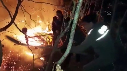 Şenpazar'daki orman yangını kontrol altına alındı - KASTAMONU