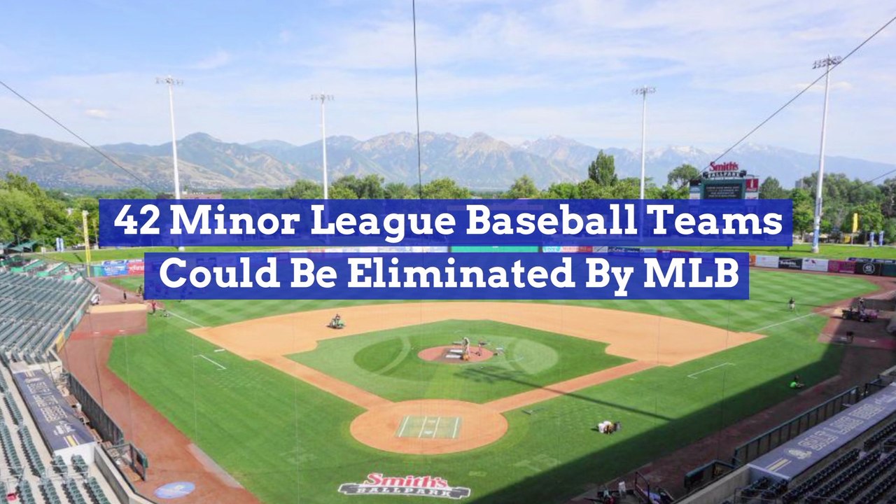 The MLB And Minor Leagues