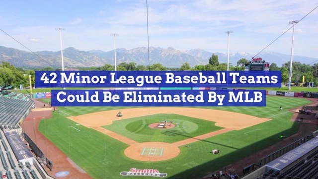 The MLB And Minor Leagues