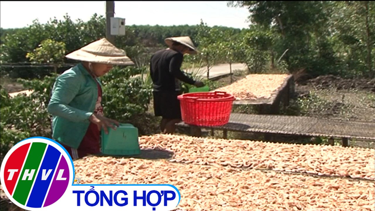 Cà Mau vào vụ chính làm tôm khô  phục vụ Tết Nguyên Đán