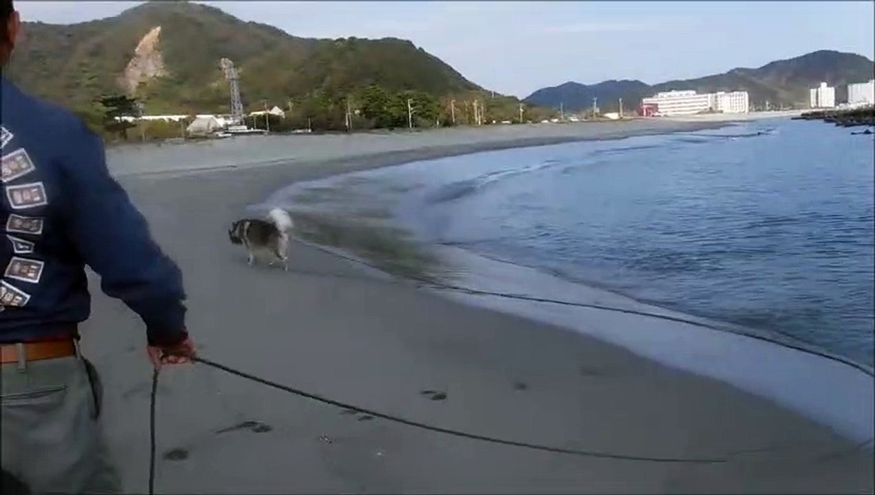竜宮の磯