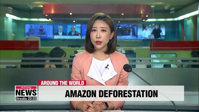 Deforestation in Brazilian Amazon has increased nearly 30% since August 2018: Report