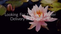 Same Day Flower Delivery Chicago IL - Send Flowers | 773-649-5132