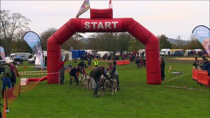 World Dry-land Sledding Championships have taken place in southern England