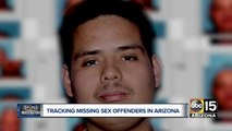 Tracking missing sex offenders in Arizona