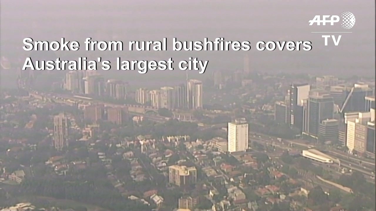 Sydney cloaked in 'hazardous' smoke as bushfires rage