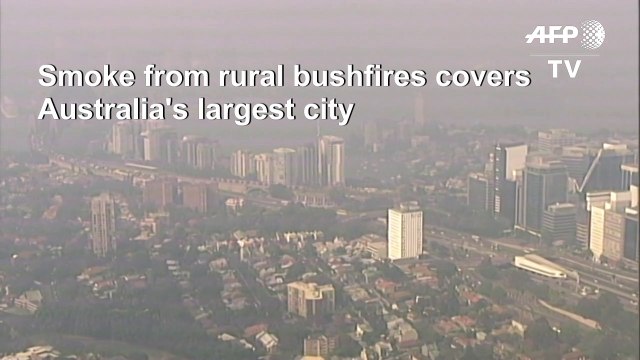 Sydney cloaked in 'hazardous' smoke as bushfires rage